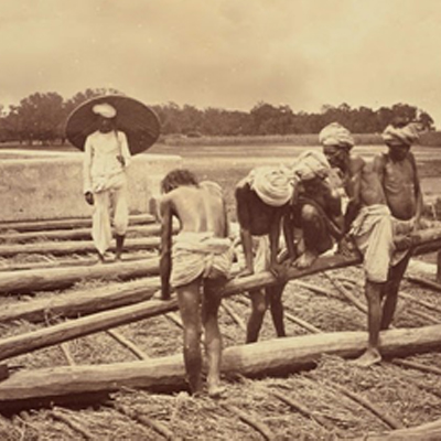 INDIGO CULTIVATION AND REVOLT IN BENGAL