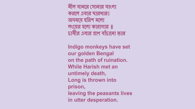Indigo Revolt in Bengal